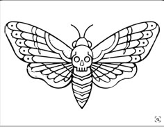 a moth with a skull on it's back and wings, in black and white