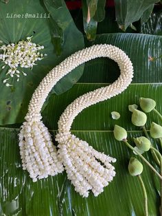 a white beaded necklace sitting on top of a green leafy plant next to flowers