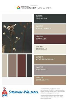 the color scheme for sheryln - williams's paint swatches is shown