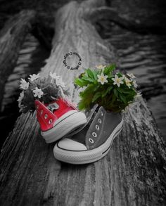 a pair of shoes sitting on top of a wooden plank next to a flower pot