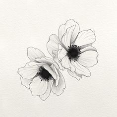 two black and white flowers are shown in this drawing