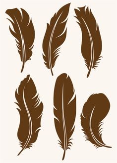 six brown feathers on white background