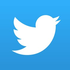 the twitter logo is blue and white with a small bird on it's side