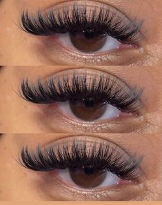 Long Thick Eyelashes Extensions, Extra Long Eyelash Extensions, Lash Inspo Eyelash Extensions Volume, Eyelash Goals Natural Long Lashes, Lashes Inspo Hybrid, Pretty Lash Extensions, Fluffy Lash Extensions, Wispy Volume Lash Extensions