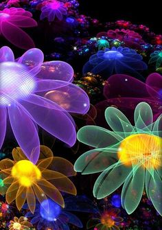 an image of colorful flowers in the dark