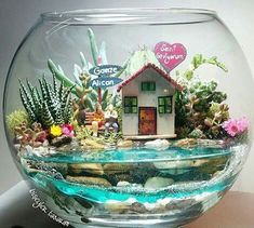 a fish bowl filled with water and plants