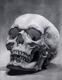 a black and white drawing of a human skull