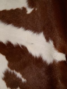 the cow is brown and white with spots on it