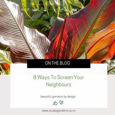 the words on the blog 8 ways to screen your neighborhood's gardens by design