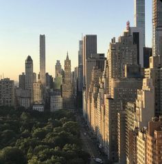 an aerial view of new york city with skyscrapers and trees in the foreground