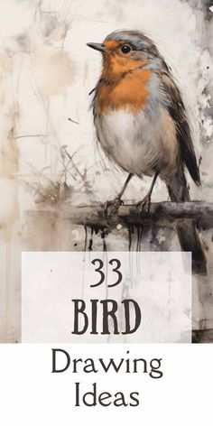 a bird sitting on top of a tree branch with the words 33 bird drawing ideas