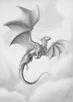 a drawing of a dragon flying through the sky