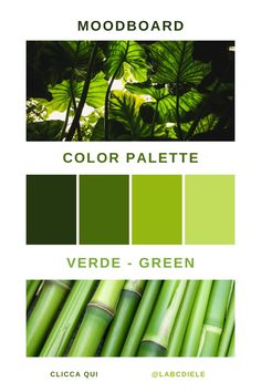 green color palette with bamboo stalks and leaves