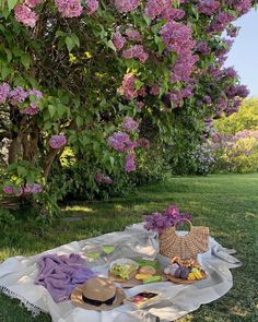 a picnic on the grass with purple flowers in the background