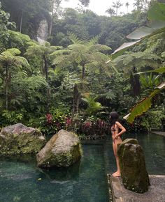 a woman standing on the edge of a pool surrounded by lush green trees and plants