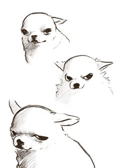 three drawings of dogs with their heads turned to look like they are looking at something