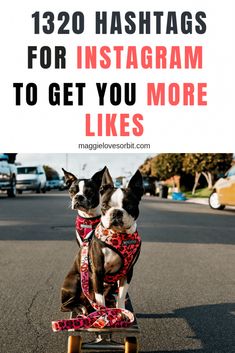 two boston terriers riding on a skateboard with text overlay that reads, 122 hashtags for instagram to get you more likes