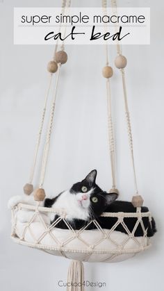 a black and white cat laying in a hammock bed with text overlay reading super simple macrame cat - bed