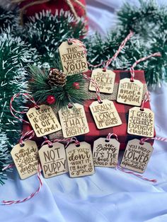 christmas tags with sayings on them sitting next to pine cones and evergreen branches, all wrapped in twine