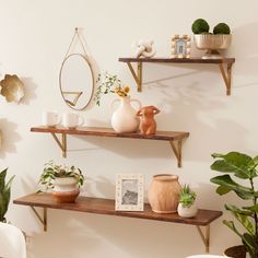 three wooden shelves with plants and vases on them