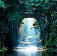 the light at the end of the tunnel shines brightly through the trees and water