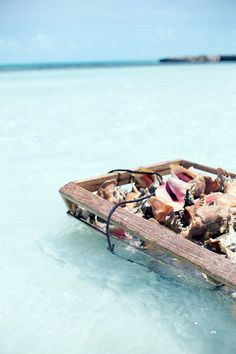 a wooden boat filled with shells in the ocean