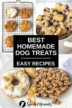 the best homemade dog treats are easy to make