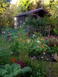 a garden filled with lots of different types of flowers and plants next to a building