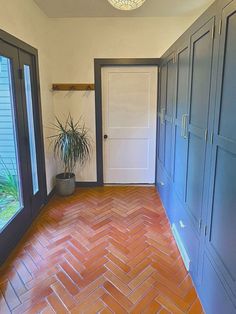 an empty room with blue cabinets and a potted plant on the floor next to it