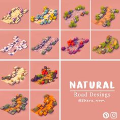 several different types of 3d renderings on a pink background with the words natural road designs seen from above