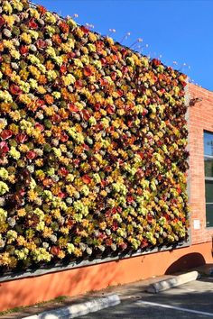 there is a large wall covered with flowers on the side of a building in front of a parking lot