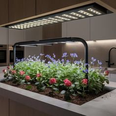 an indoor garden with flowers and plants growing in it's planter box at night