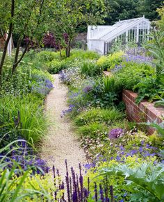 a garden filled with lots of plants and flowers