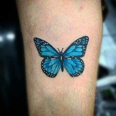 a blue butterfly tattoo on the leg