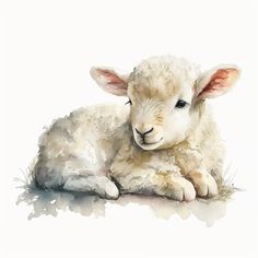 a painting of a lamb laying down on the ground