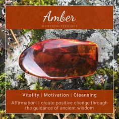 Amber Stone Meaning, Amber Meaning, Financial Prayers, Crystal Seashells, Mala Jewelry, Charge Crystals, Healing Plants, Crystal Goddess, Amber Crystal