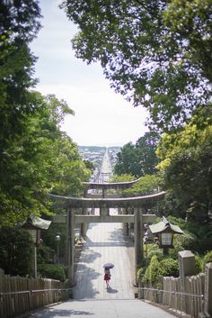 a person with an umbrella walking down a path