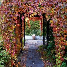 an archway covered in lots of colorful leaves next to a stone walkway and shrubbery