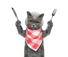 a gray cat holding two forks and a knife in its paws while wearing a bandana