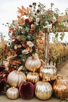 a bunch of pumpkins sitting on top of a table