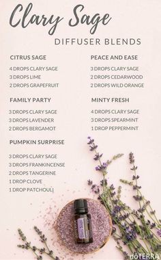 DoTERRA Clary sage diffuser recipes. How to use clary sage Essential Oil. Do you want to start with your own oils? Find out how here Eo Blends, Clary Sage Oil, Clary Sage Essential Oil