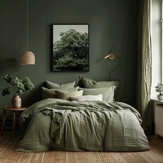 a bedroom with green walls and wooden flooring is pictured in this image, there are plants on the side of the bed