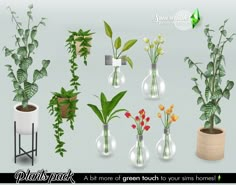 a bunch of plants that are in vases