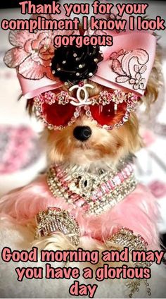 a small dog wearing sunglasses and a tiara