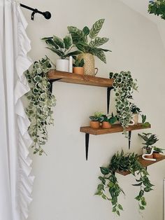 three wooden shelves with plants and potted plants on them, hanging from the wall