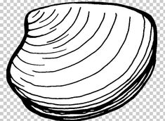 an onion is shown in this black and white drawing, it appears to be sliced