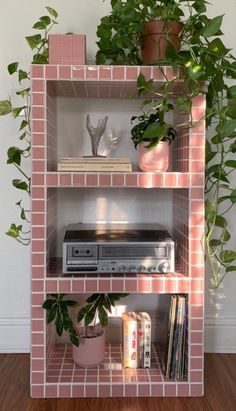 there is a shelf with books and plants on it