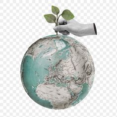 a hand holding an earth globe with plants growing out of it