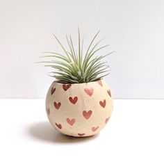 a potted plant sitting on top of a white table with hearts painted on it