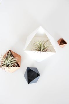 three air plants in geometric shapes on a white wall with text overlay that reads diy geometric holders